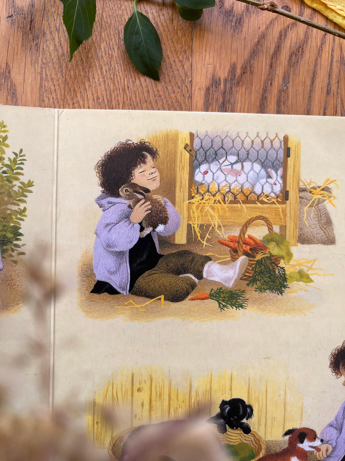 Pappbilderbuch Spring von Gerda Muller 2. Hand, Blick ins Buch mit Kind und Kaninchen im Stall, Foto