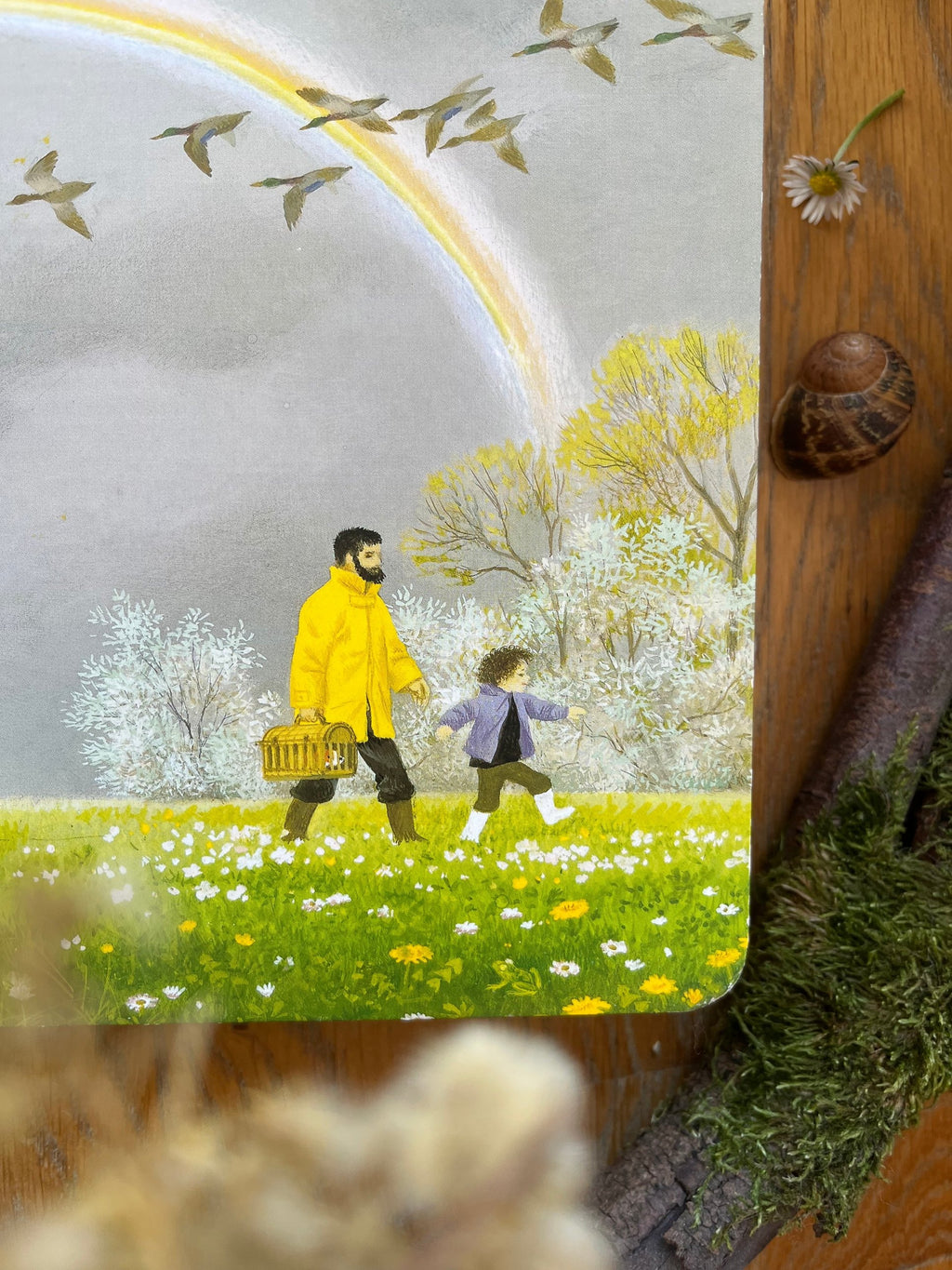 Pappbilderbuch Spring von Gerda Muller 2. Hand, Blick ins Buch mit Spaziergang unter dem Regenbogen, Foto