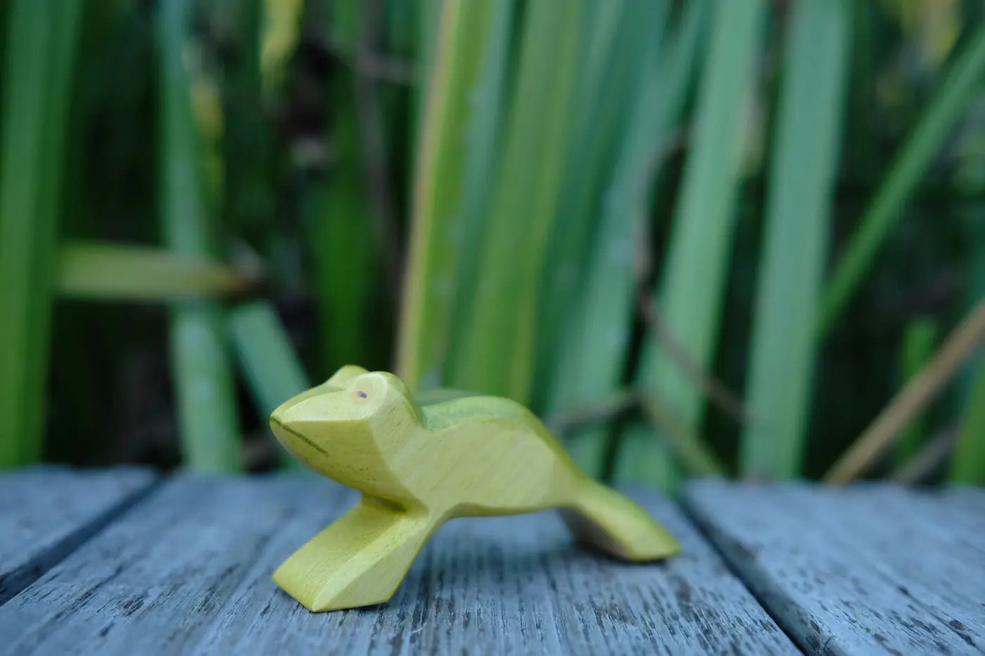 HolzWald Frosch springend