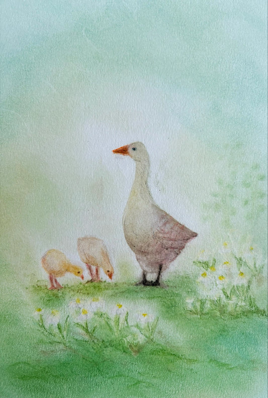 Kunstdruck Gänse A5