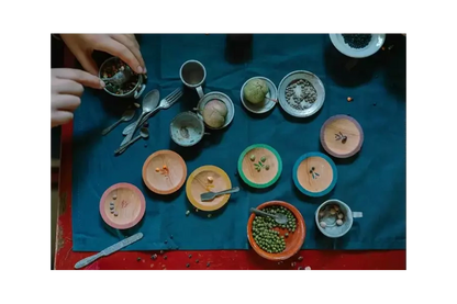 Grapat Dishes