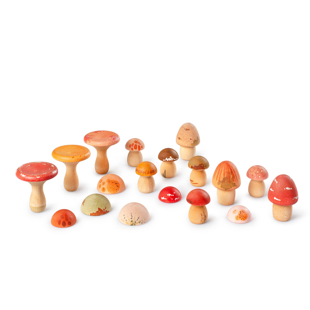 Grapat Mushroom Grove Holzpilze, alle Holzpilze nebeneinander