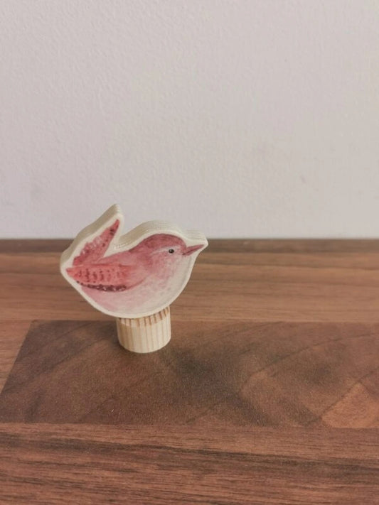 Stecker - Zaunkönig