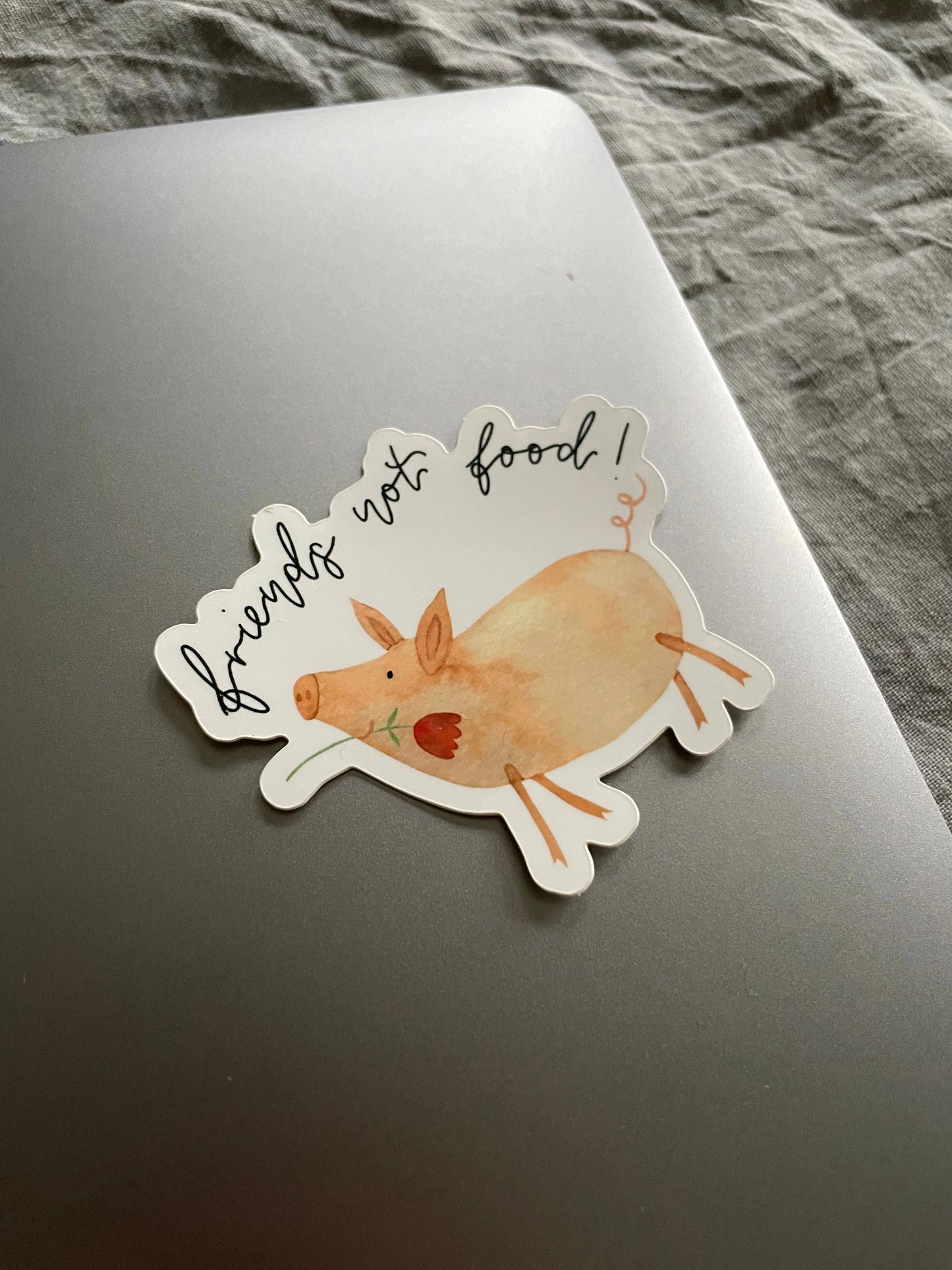 Sticker – Friends not food!
