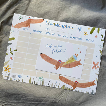 Stundenplan - Dackel