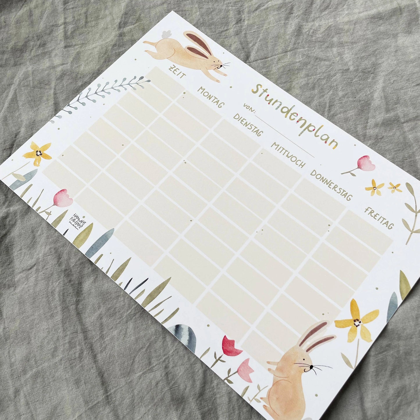 Stundenplan - Hase