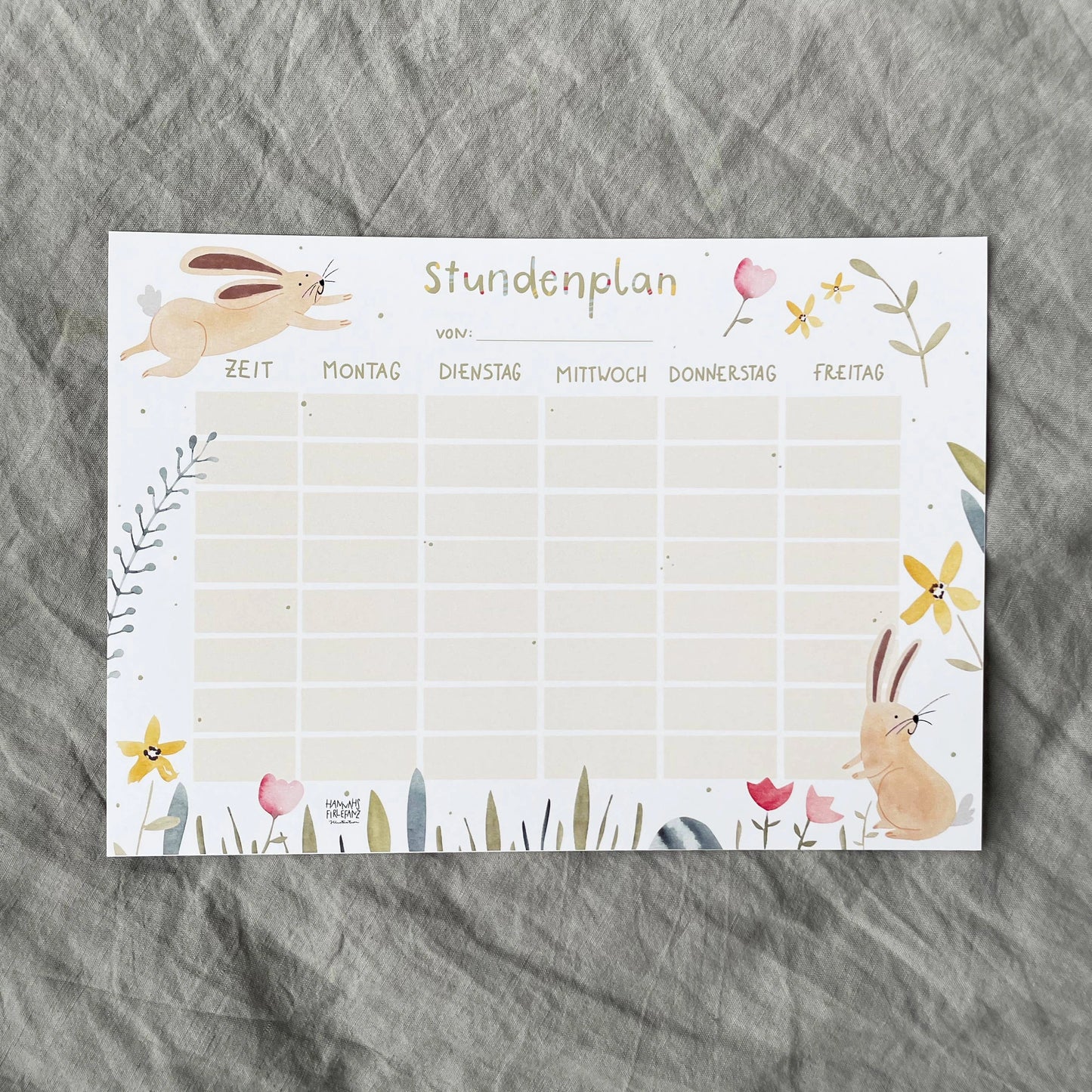 Stundenplan - Hase