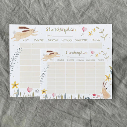 Stundenplan - Hase