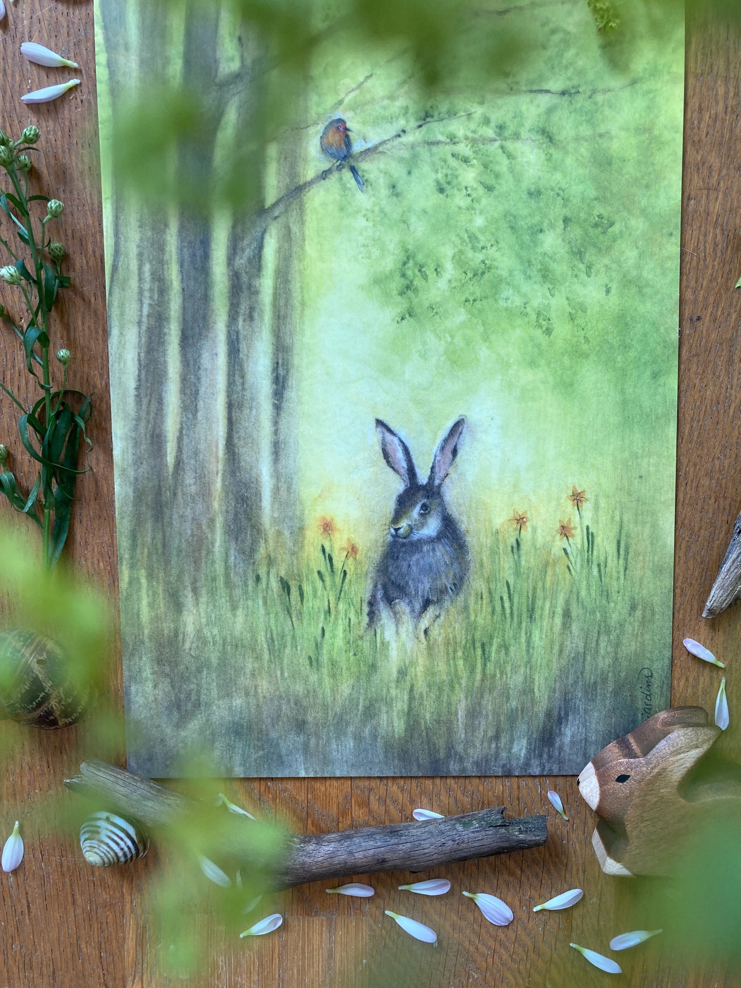 Kunstkarten Set Tiere (4 Postkarten A5)