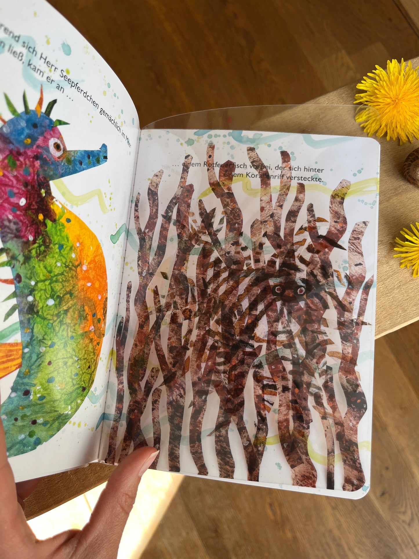 Herr Seepferdchen mit Folienseiten - Eric Carle
