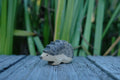 Holzfigur Igel von HolzWald mit grauem Stachelkleid