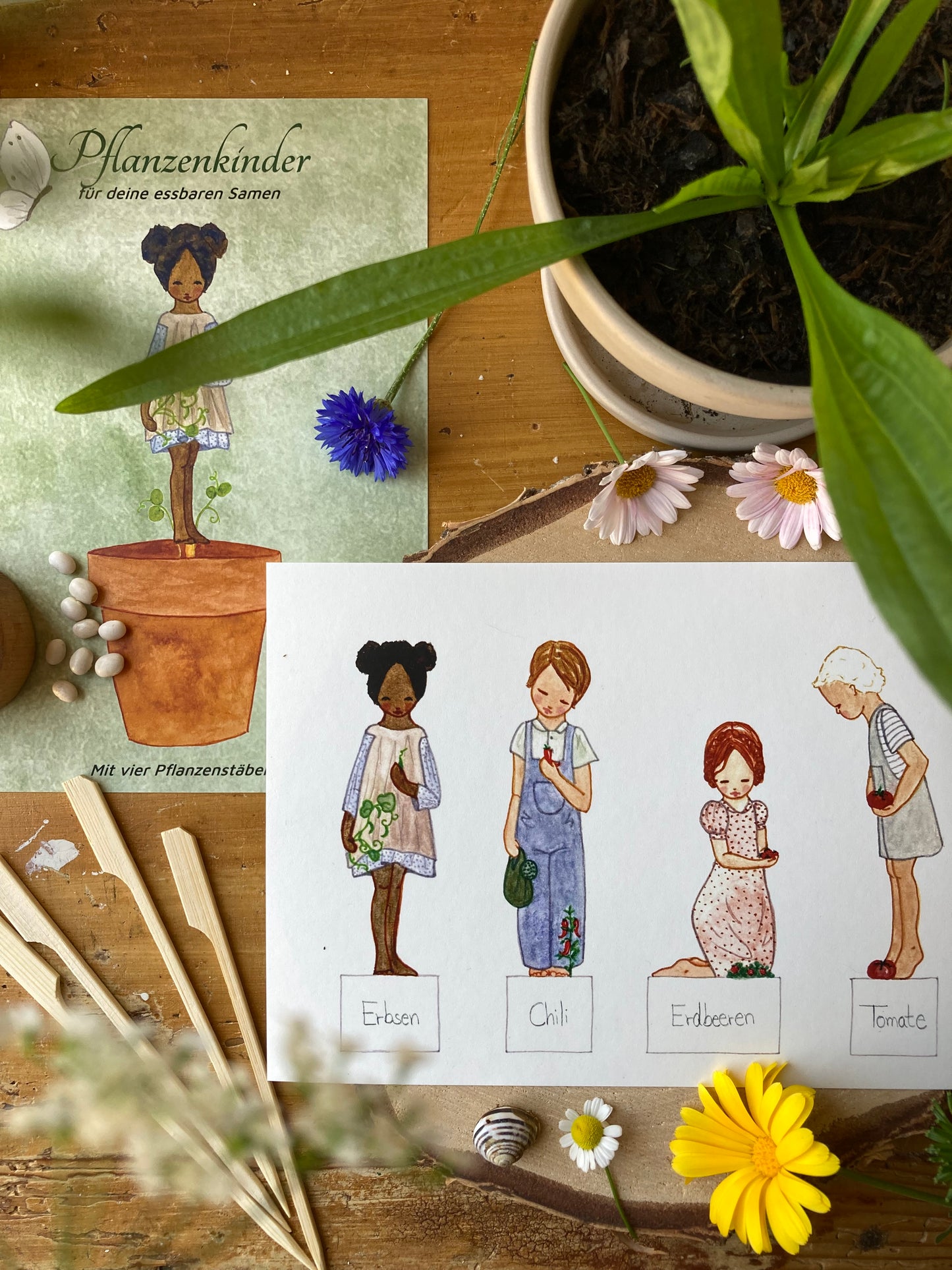 Bastelbogen (DEUTSCH) - Kinder pflanzen essbare Samen