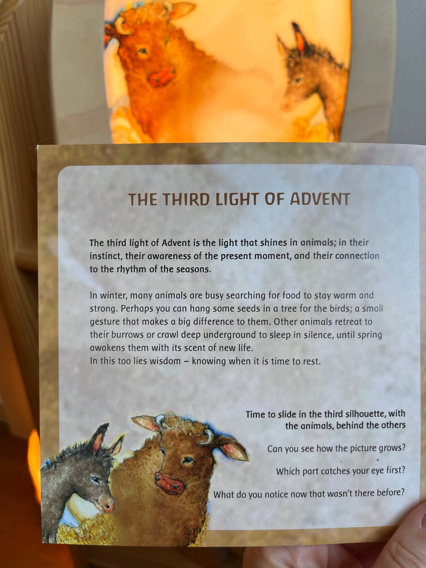 Toverlux - Eine wachsende Advents-Geschichte