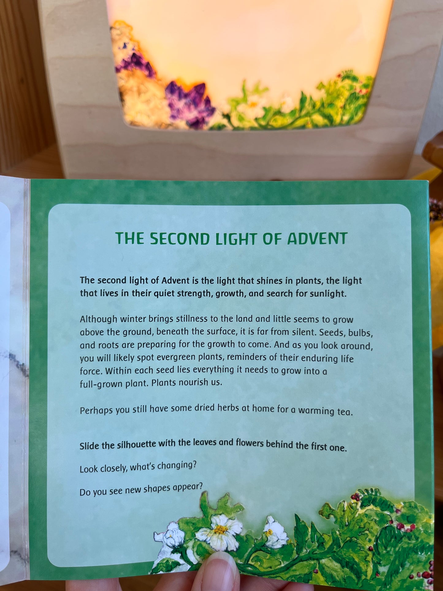 Toverlux - Eine wachsende Advents-Geschichte