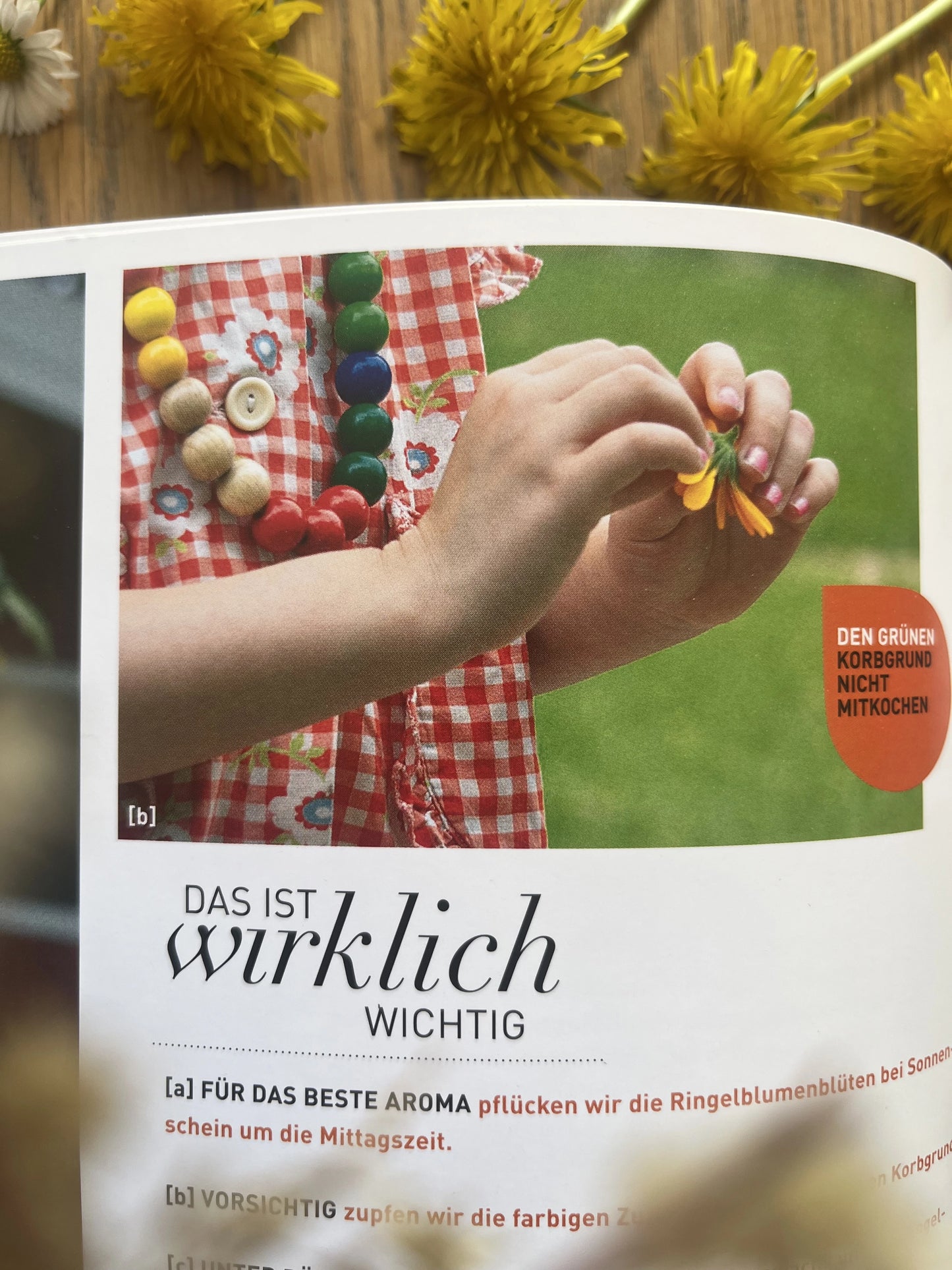 Natur & Kinder: Die besten Ideen für kleine und große Naturentdecker 2. Hand