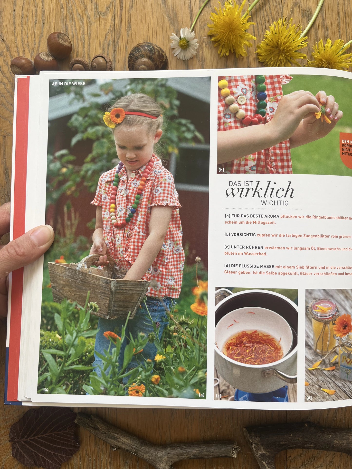 Natur & Kinder: Die besten Ideen für kleine und große Naturentdecker 2. Hand