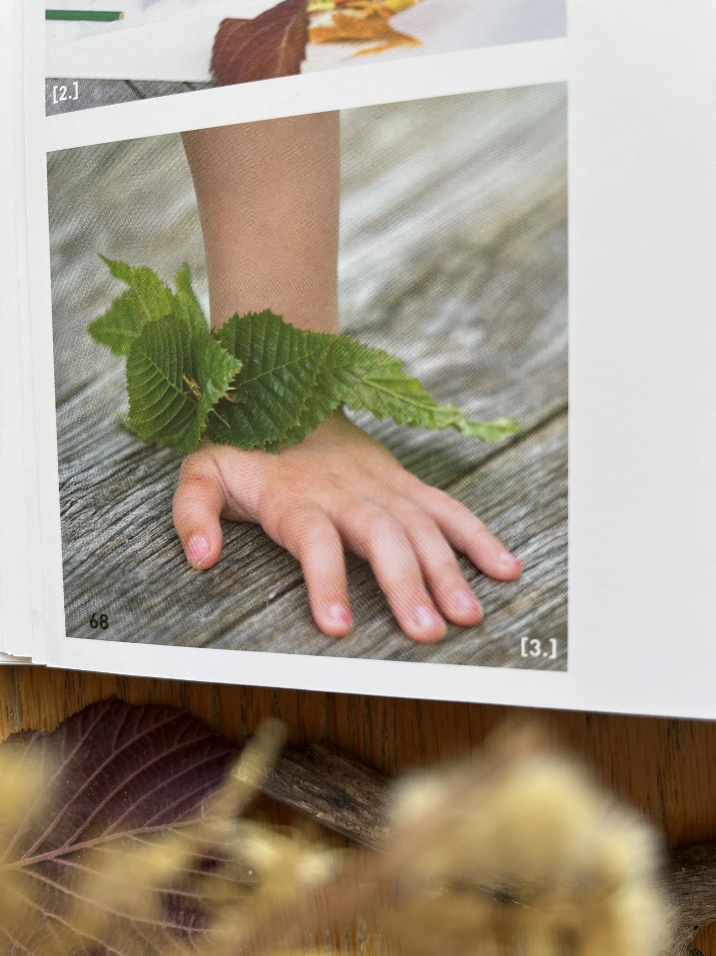 Natur & Kinder: Die besten Ideen für kleine und große Naturentdecker 2. Hand