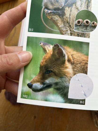 Natur & Kinder: Die besten Ideen für kleine und große Naturentdecker 2. Hand