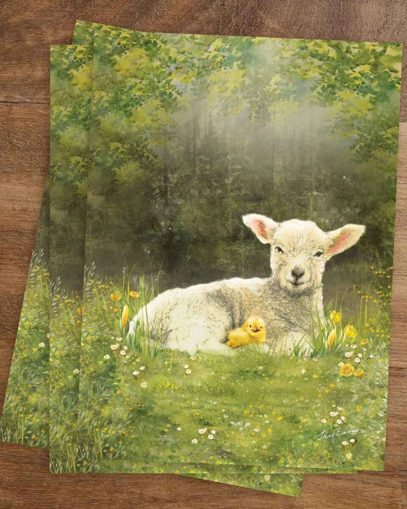Postkarte Lamm mit Küken von Iris Esther A6: ein wolliges Lamm und ein gelbes Küken ruhen nebeneinander zwischen Gänseblümchen