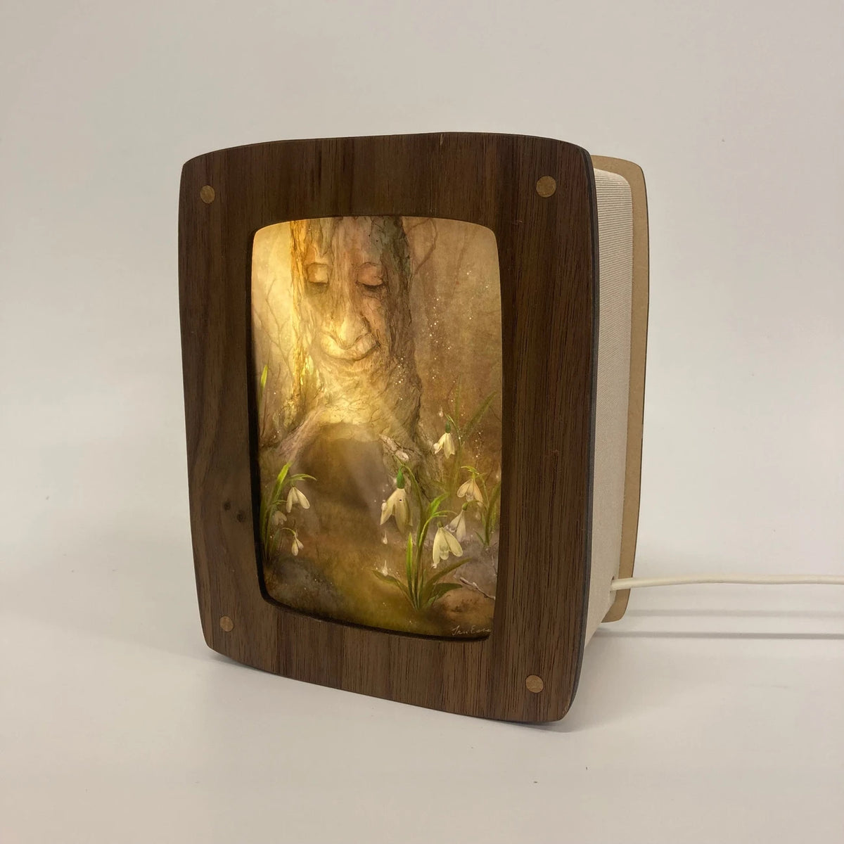 Postkarte Schneeglöckchen von Iris Esther A6, in der Postkartenlampe aus Holz, Foto