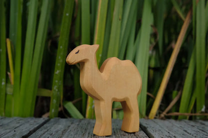 HolzWald Kamel klein