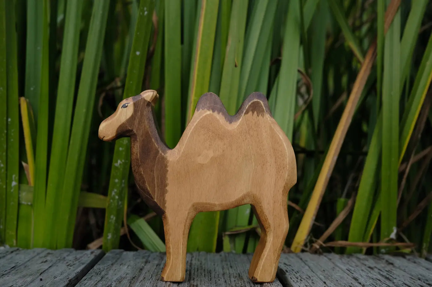 HolzWald Kamel