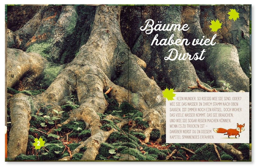Hörst du, wie die Bäume sprechen?, Blick ins Buch mit Baumwurzeln