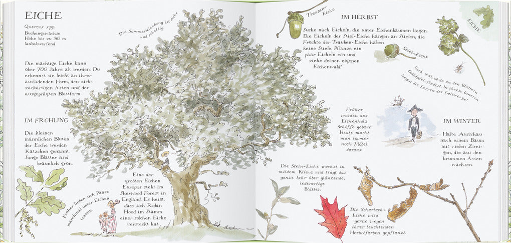 Linde, Weide, Apfelbaum, Blick ins Buch