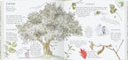 Linde, Weide, Apfelbaum, Blick ins Buch