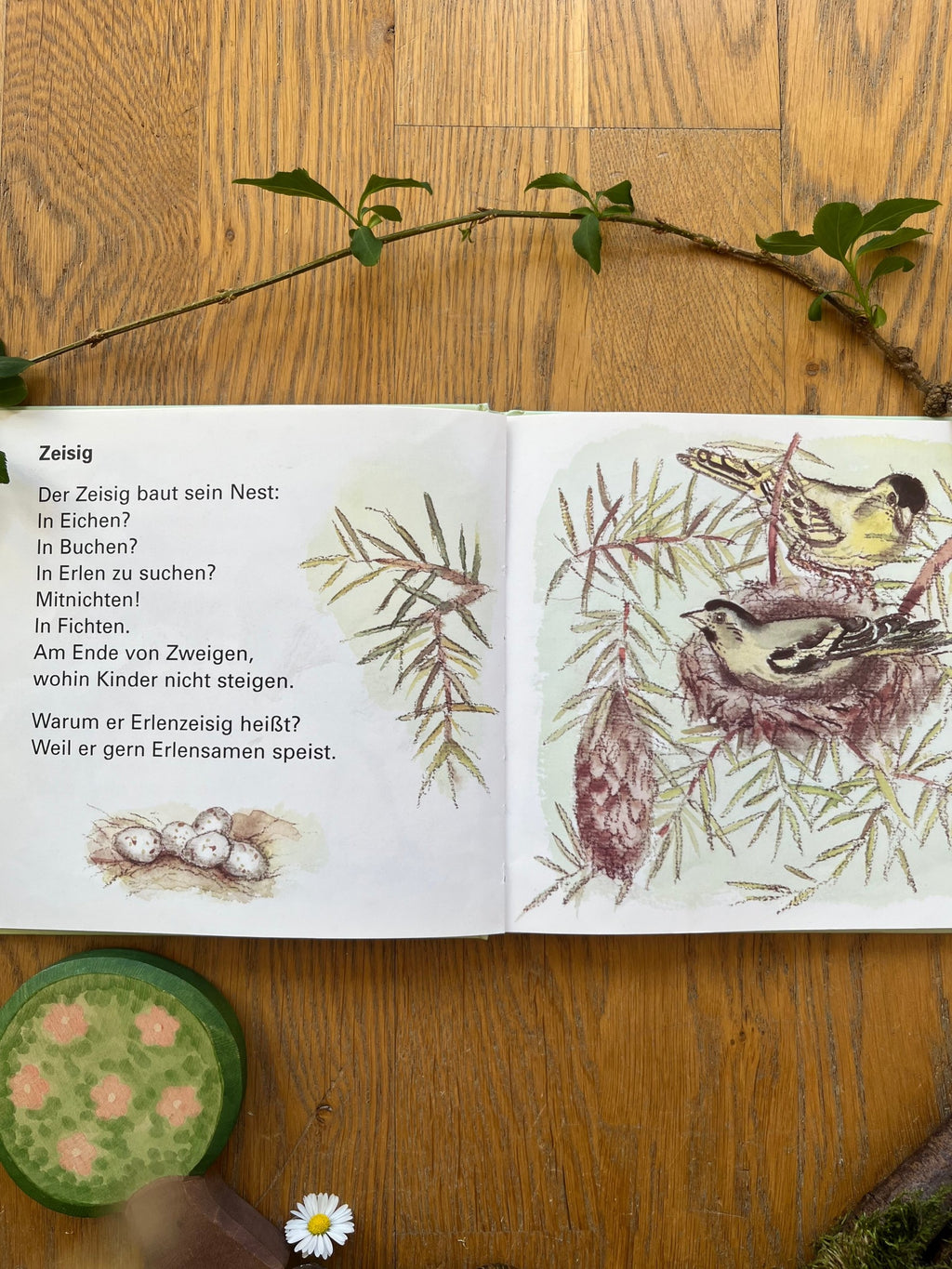 Kinderbuch Ein Nest, versteckt auf dichten Zweigen 2. Hand, Doppelseite mit Erlenzeisigen, Foto