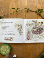 Kinderbuch Ein Nest, versteckt auf dichten Zweigen 2. Hand, Doppelseite mit Erlenzeisigen, Foto