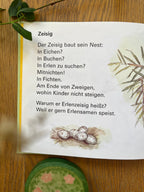 Kinderbuch Ein Nest, versteckt auf dichten Zweigen 2. Hand, Gedicht Zeisig in großer Schrift, Foto