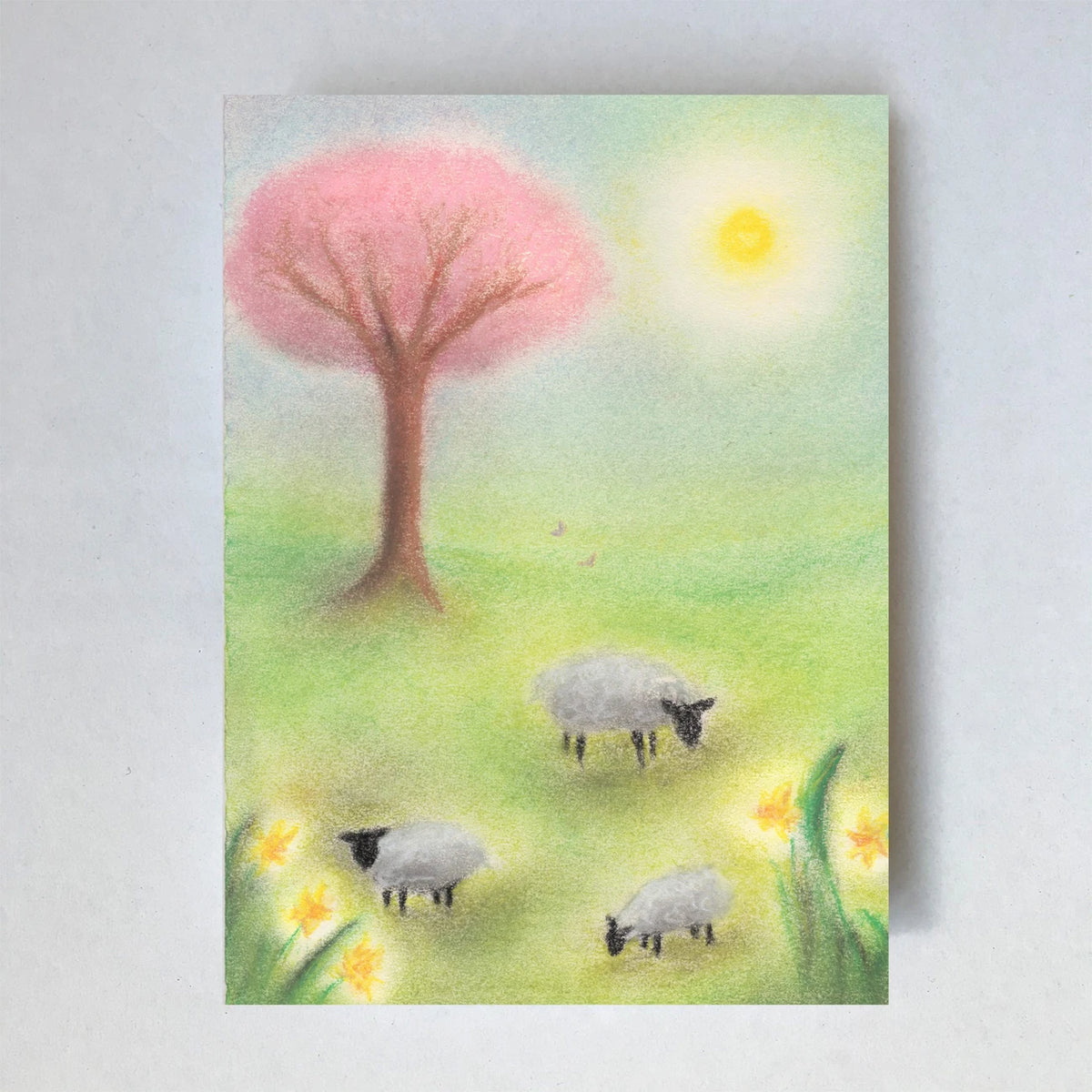 Postkarte Schafe von Lot Bouwes A6: Schafe grasen unter einem rosa blühenden Baum, gelbe Blumen, Sonne