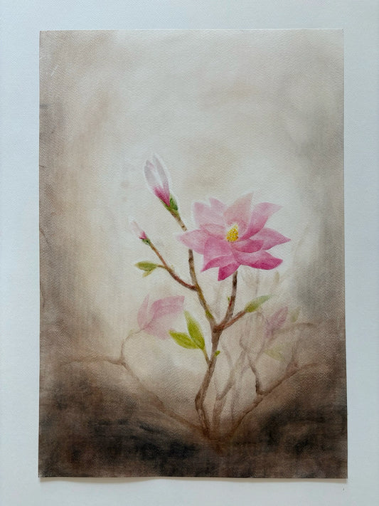Magnolien