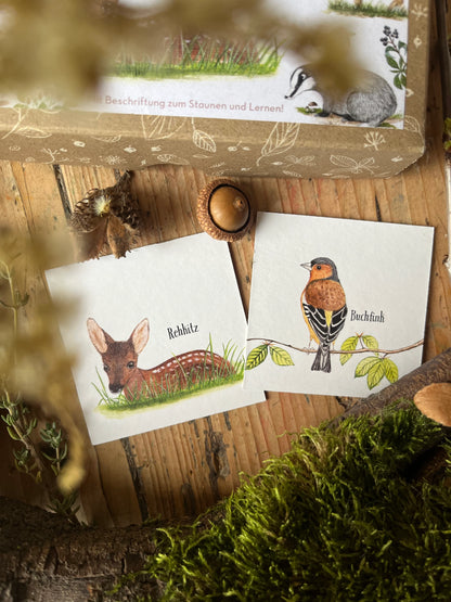 Memo-Spiel "Heimischer Wald"
