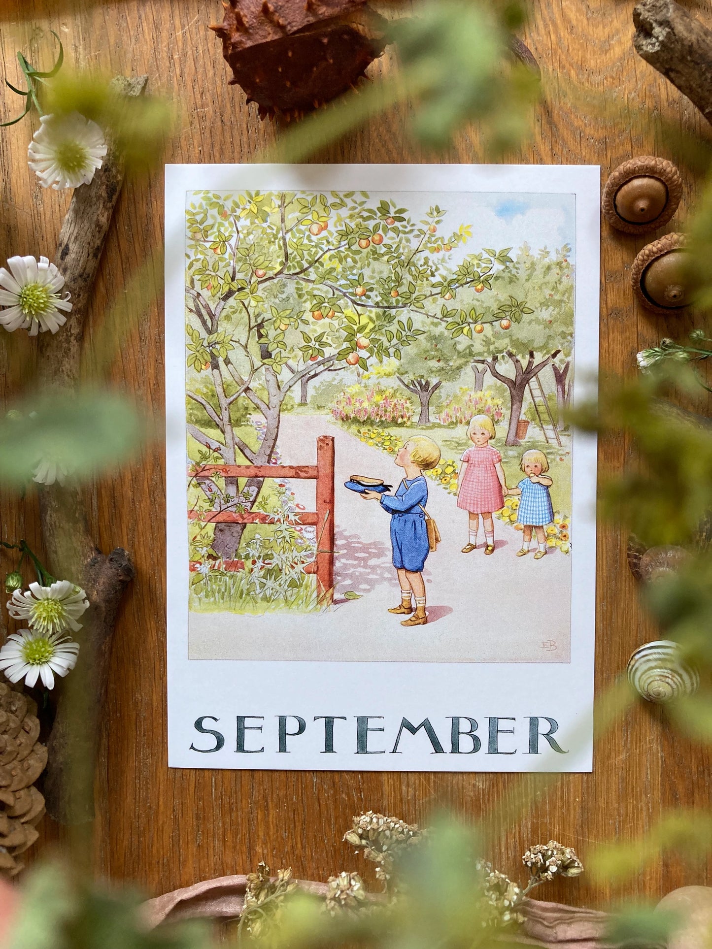 Monatskarten - Set von Elsa Beskow