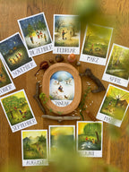 Monatskarten-Set 12 Monate von Ode Desjardins A6, Foto