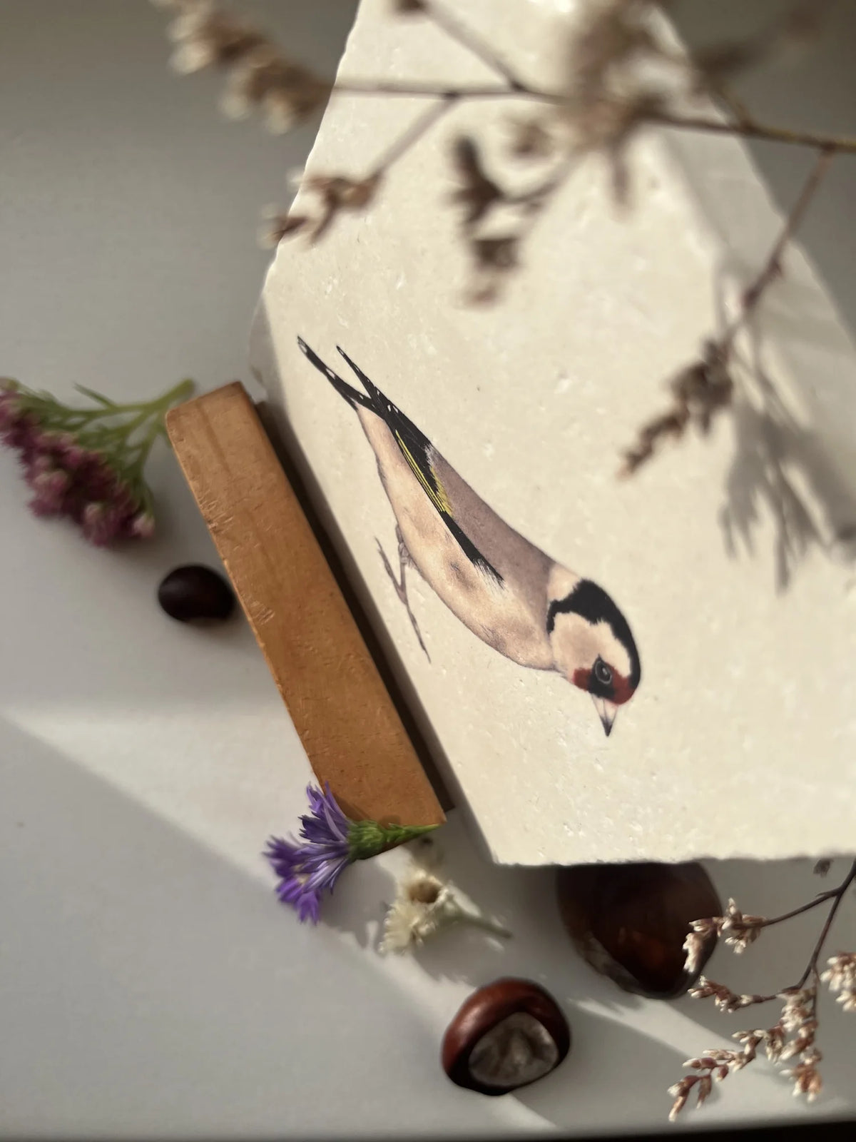 moreydesign Fliese Stieglitz schräg von oben, Nahaufnahme des Vogelmotivs auf der Steinfliese