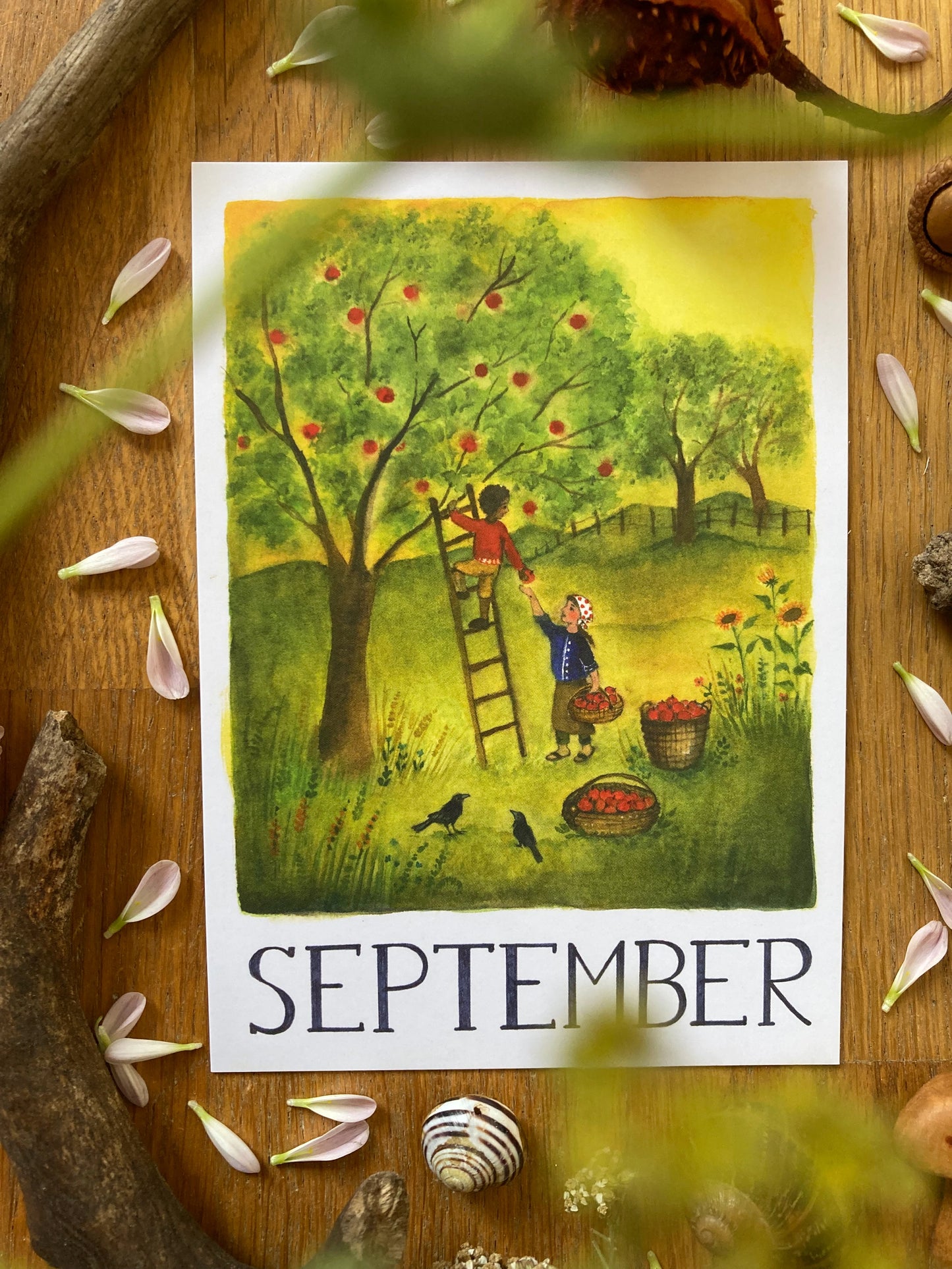 Monatskarten - Set von Ode Desjardins