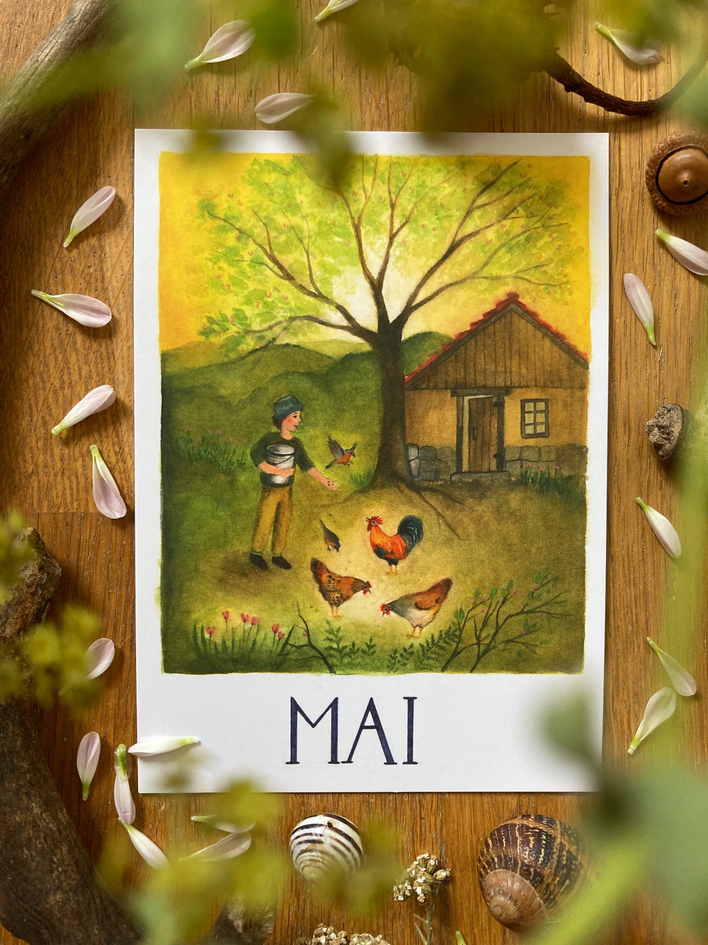 Monatskarten - Set von Ode Desjardins