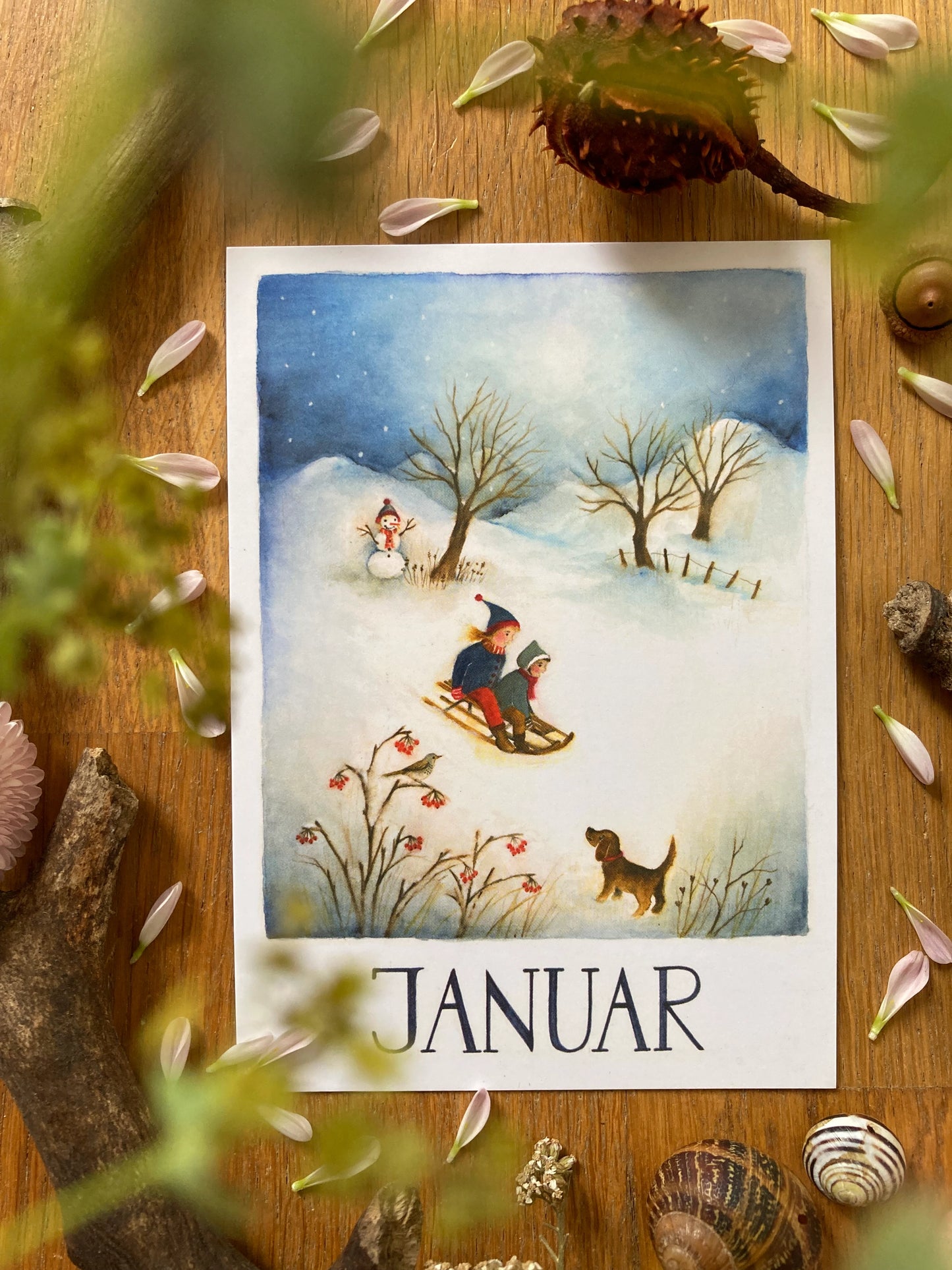 Monatskarten - Set von Ode Desjardins