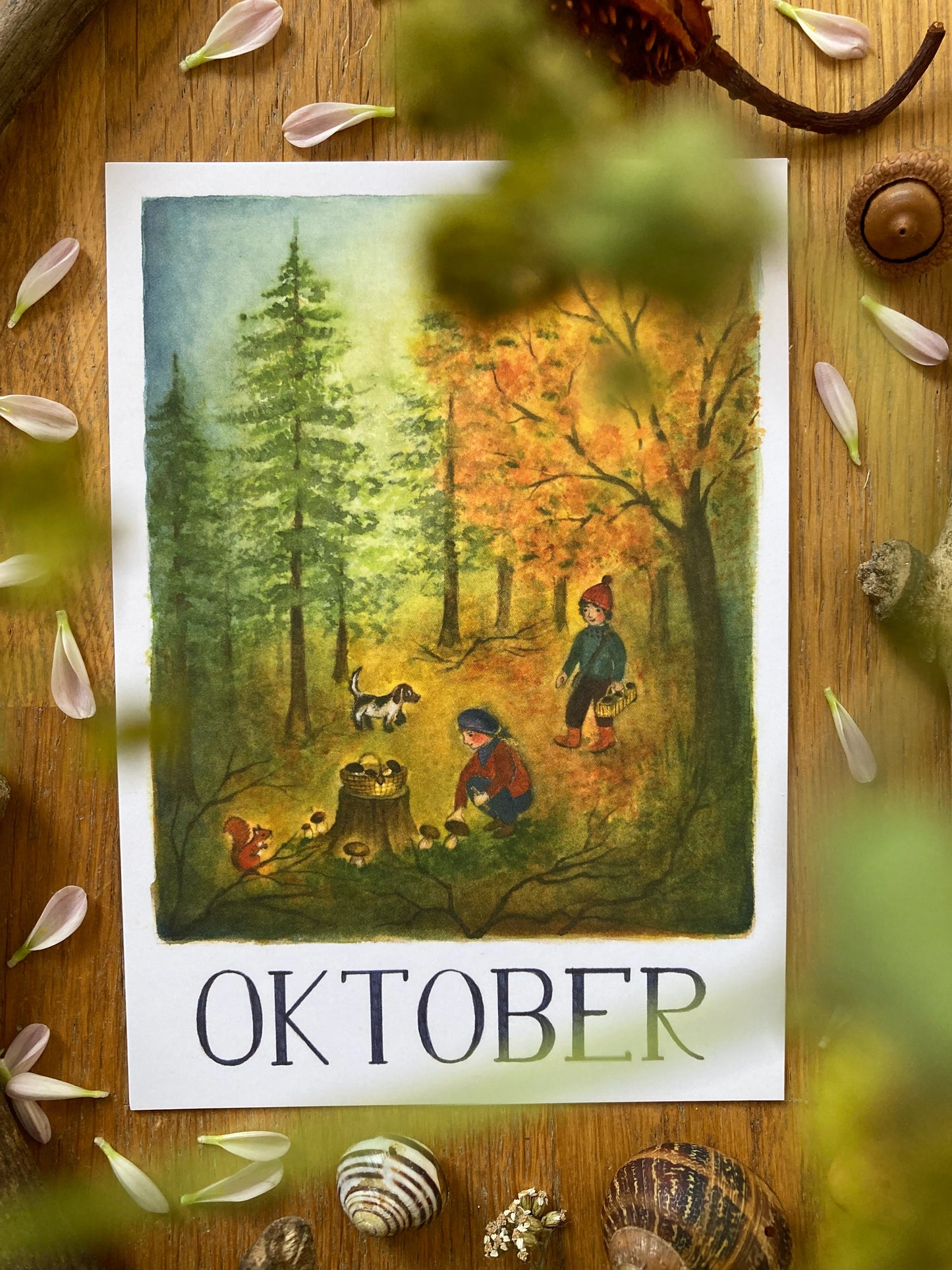 Monatskarten - Set von Ode Desjardins