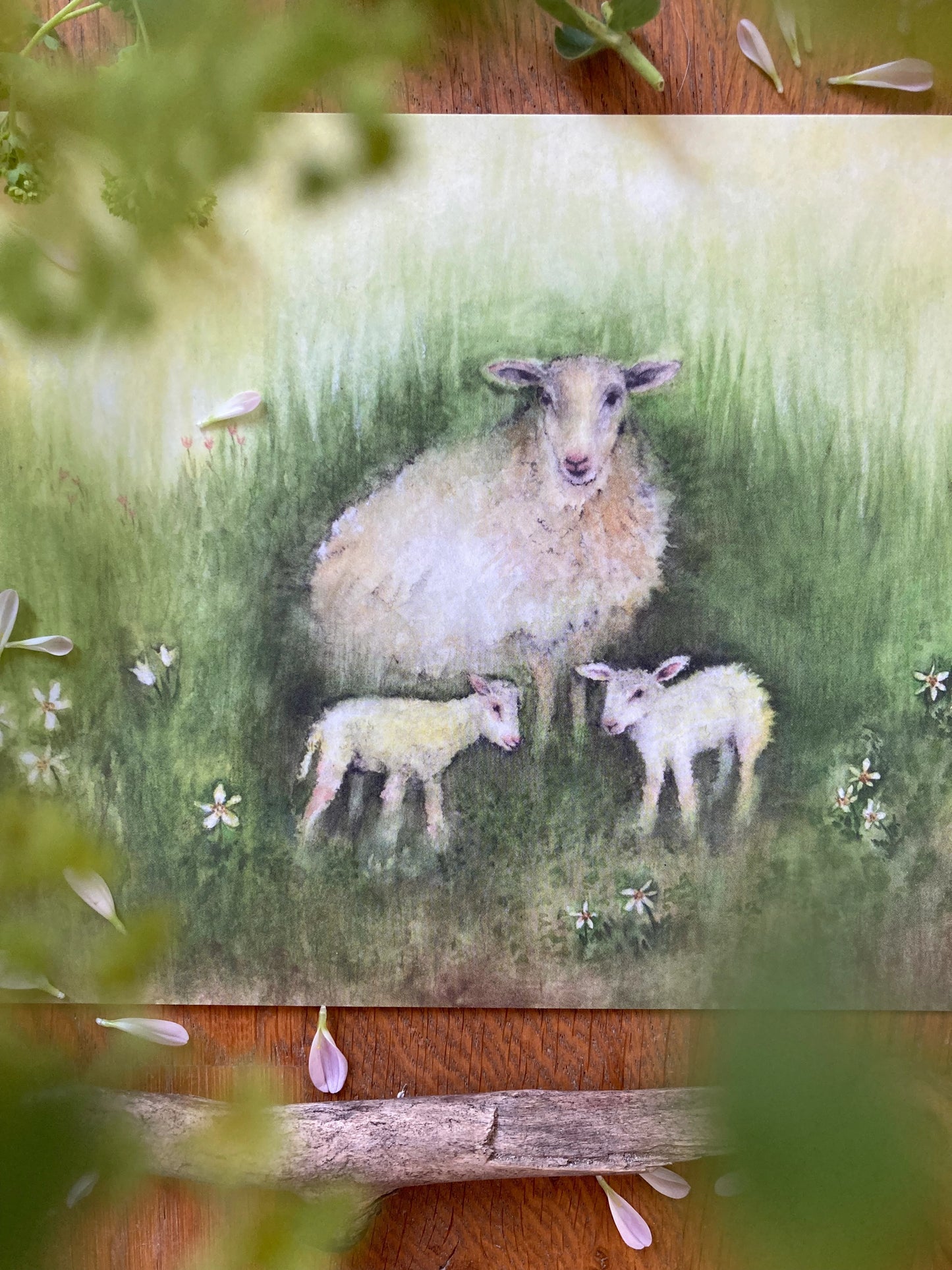 Kunstkarten Set Tiere (4 Postkarten A5)