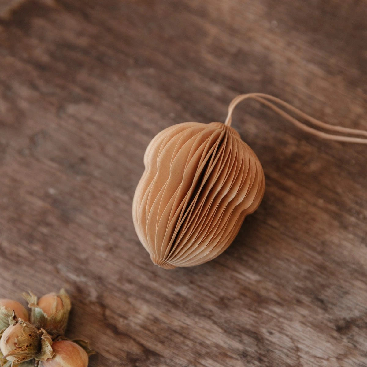 Papieranhänger Eichel - hellbraun - klein