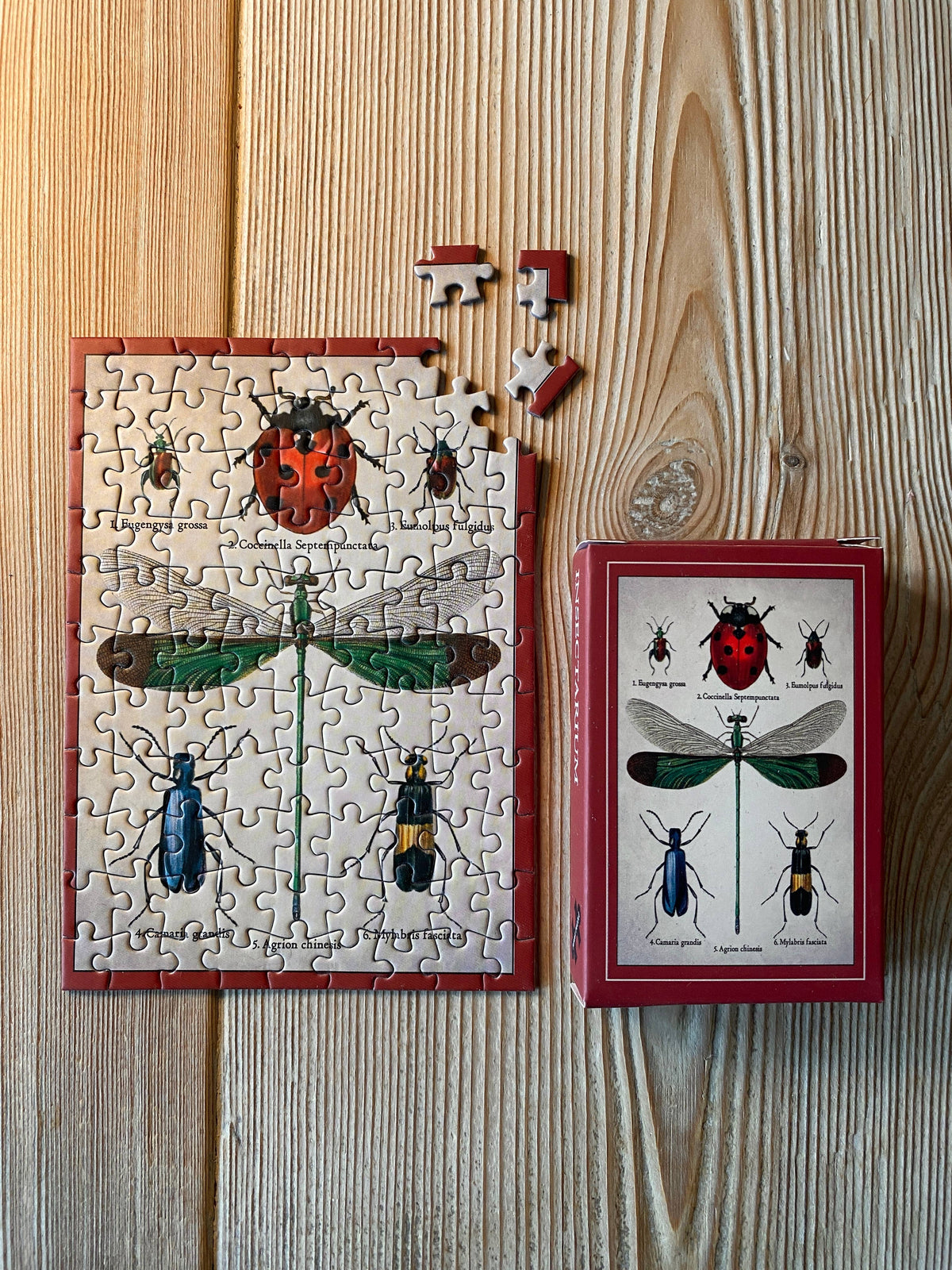 Minipuzzle Insektarium von Penny Puzzle 99 Teile, beim Puzzeln neben der Schachtel