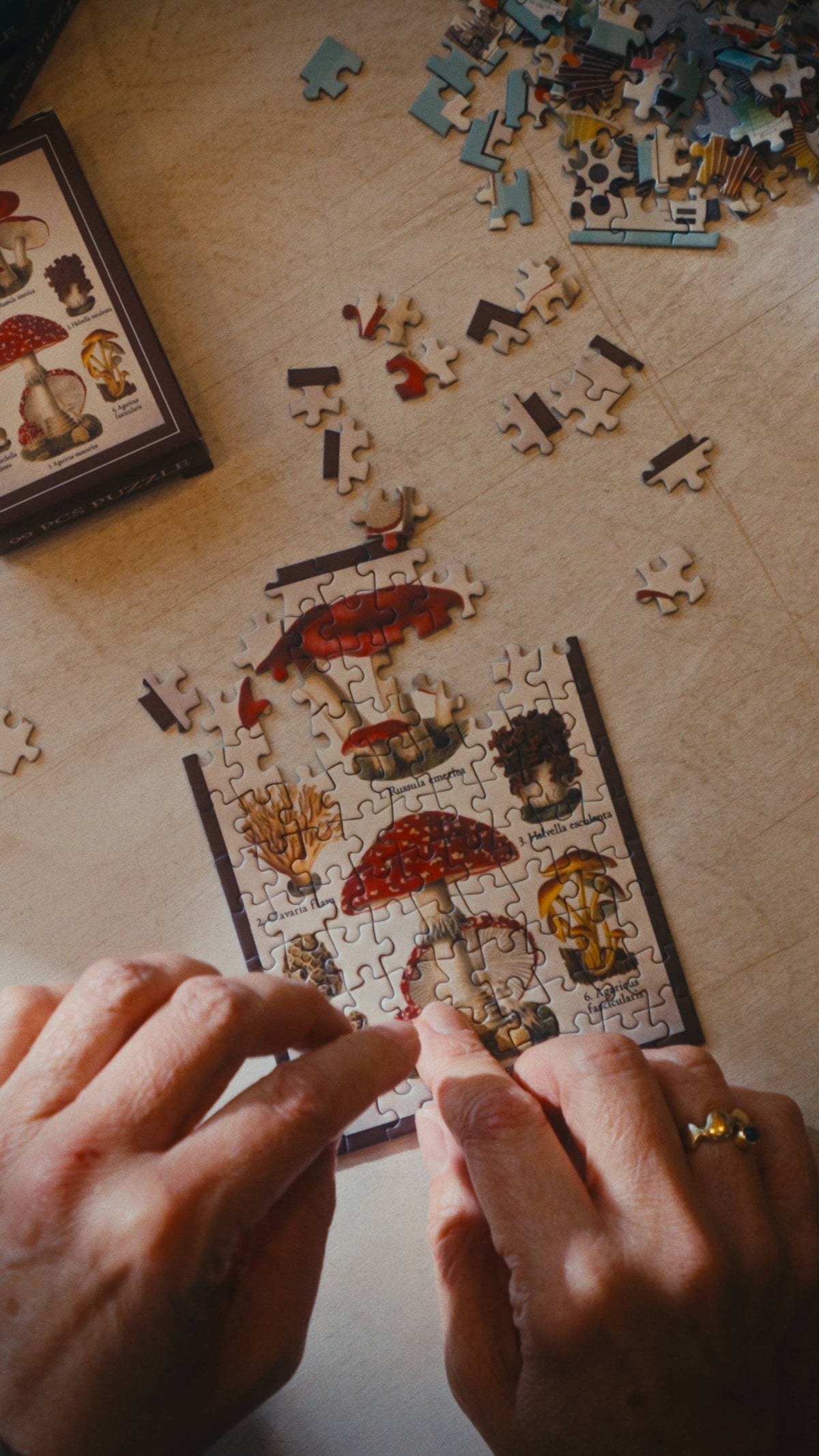 Minipuzzle Pilzstudien von Penny Puzzle 99 Teile, beim Puzzeln
