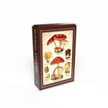 Minipuzzle Pilzstudien von Penny Puzzle 99 Teile, Schachtel