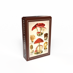 Minipuzzle Pilzstudien von Penny Puzzle 99 Teile, Schachtel