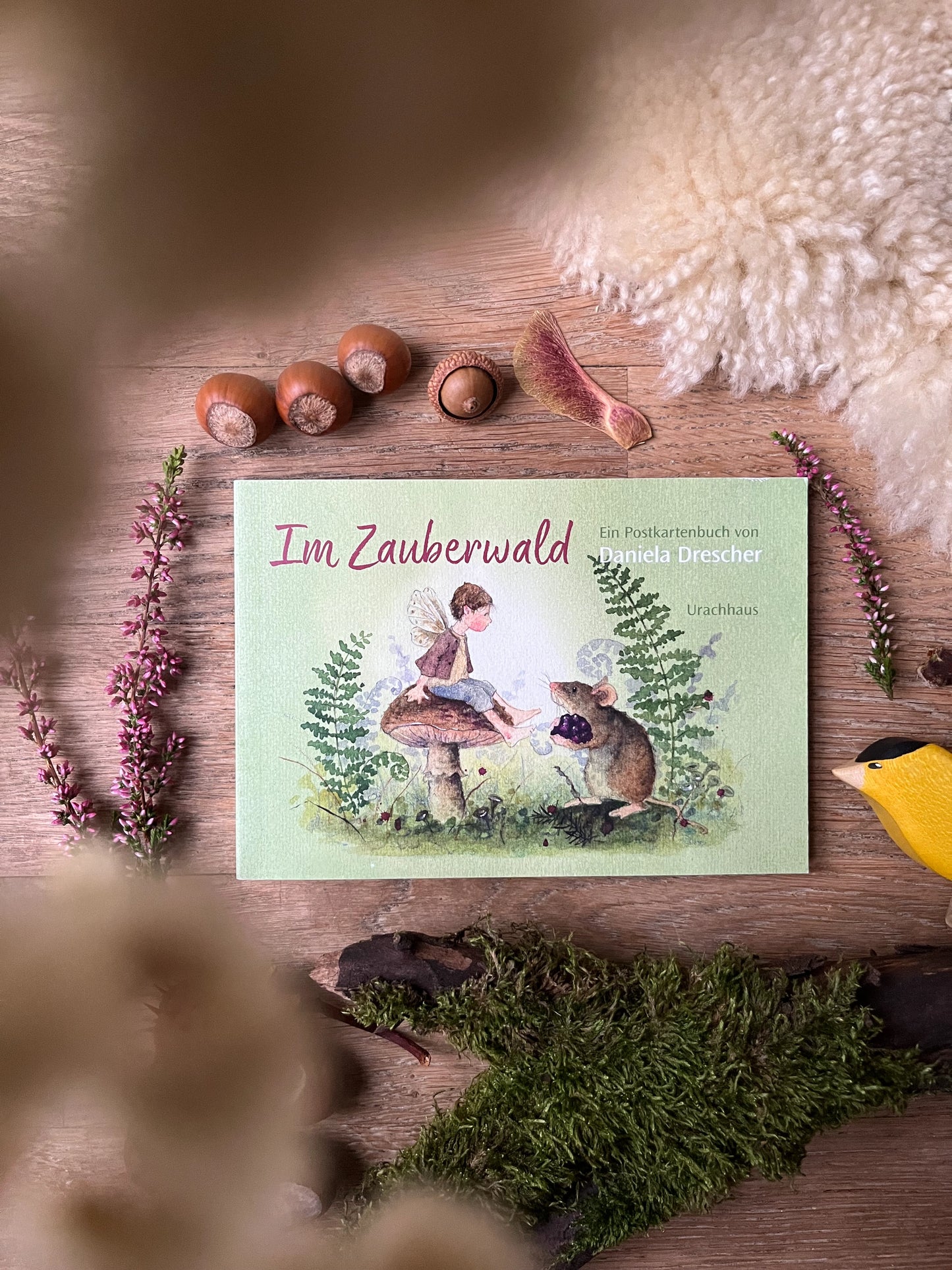 Postkartenbuch Im Zauberwald