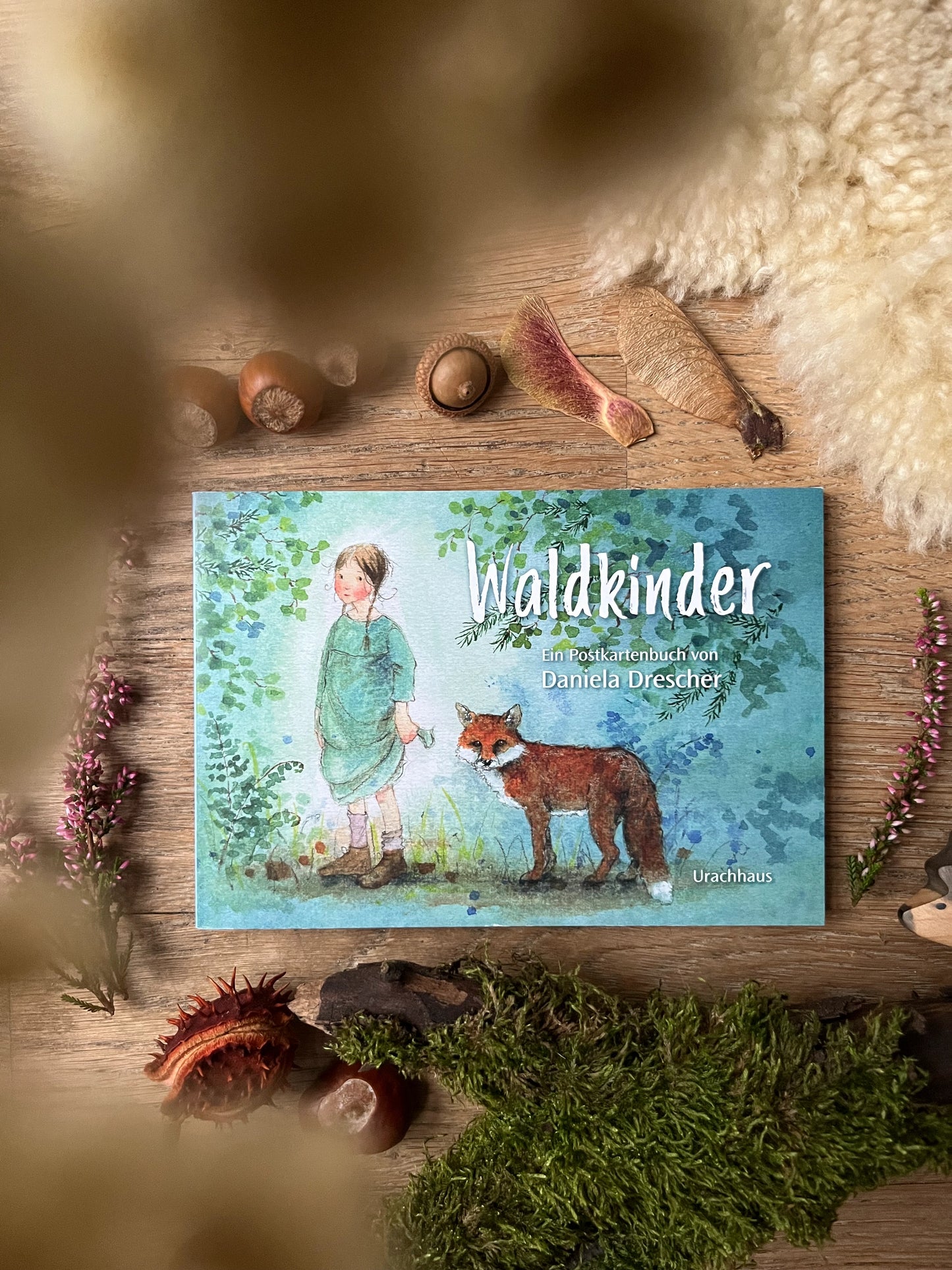 Postkartenbuch Waldkinder